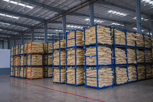 湖北省委書記一行考察卓寶石首生產基地，聚焦建筑材料產業高質量發展